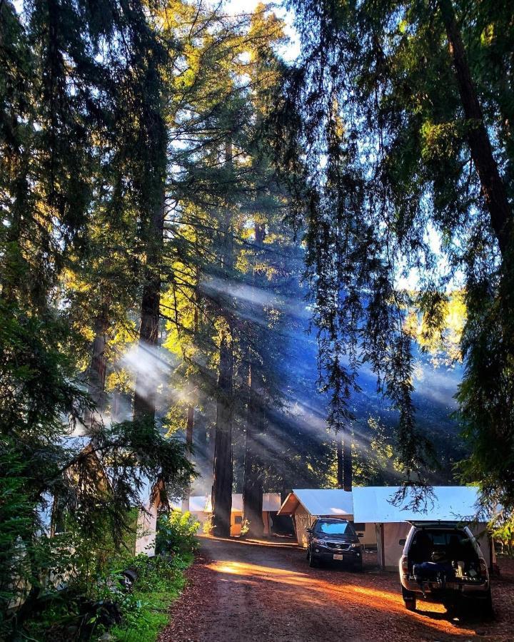 Fernwood Resort Big Sur Dış mekan fotoğraf