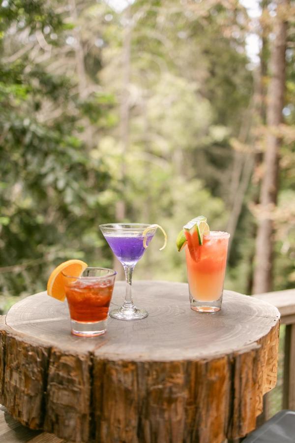 Fernwood Resort Big Sur Dış mekan fotoğraf